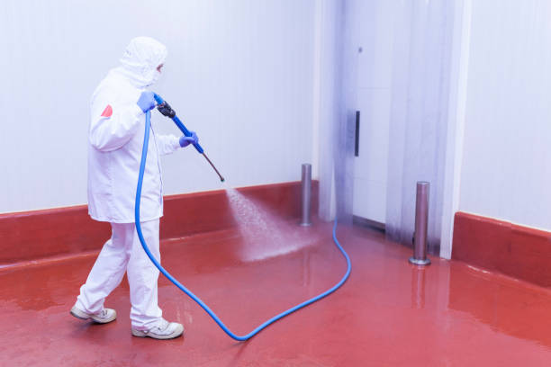 Best Playground Equipment Cleaning  in French Valley, CA